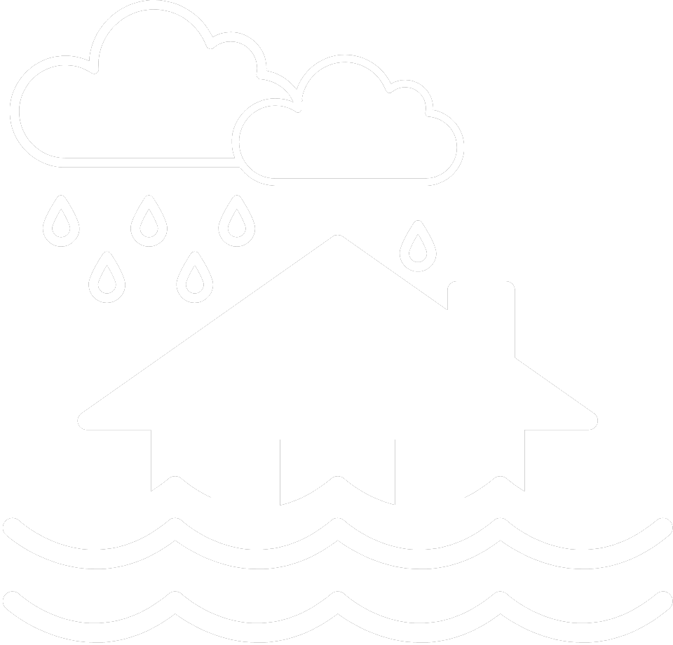 Disaster Recovery icon